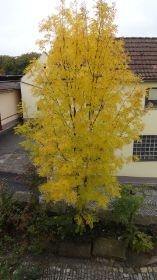 DSC05500.JPG