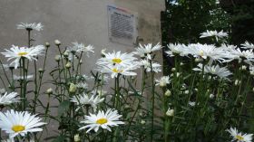 DSC04335.JPG