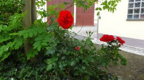 DSC03917.JPG